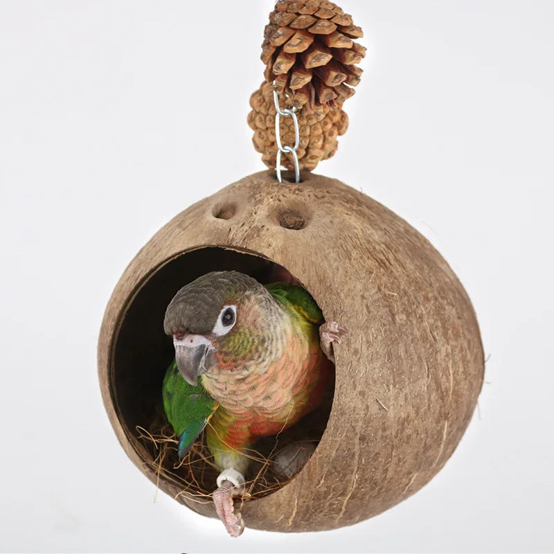 Coconut Bird Nest Hut with Ladder – Hanging Parrot Hideout