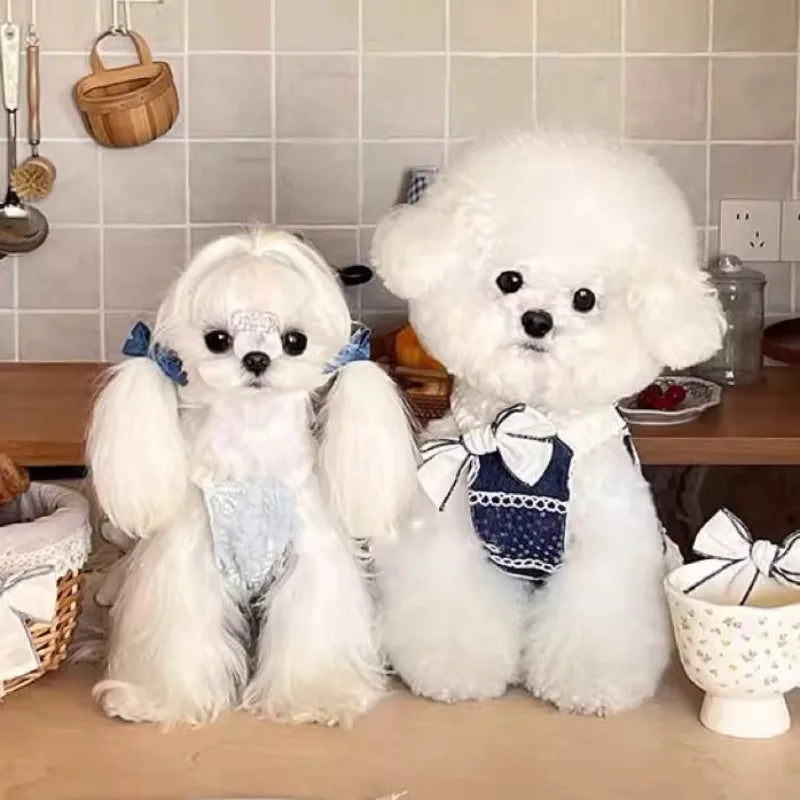 Pet Clothes Dog Cat Princess Small Spring Summer Thin Breathable Butterfly Princess Skirt Peaceful Pleasures Health and Wellness
