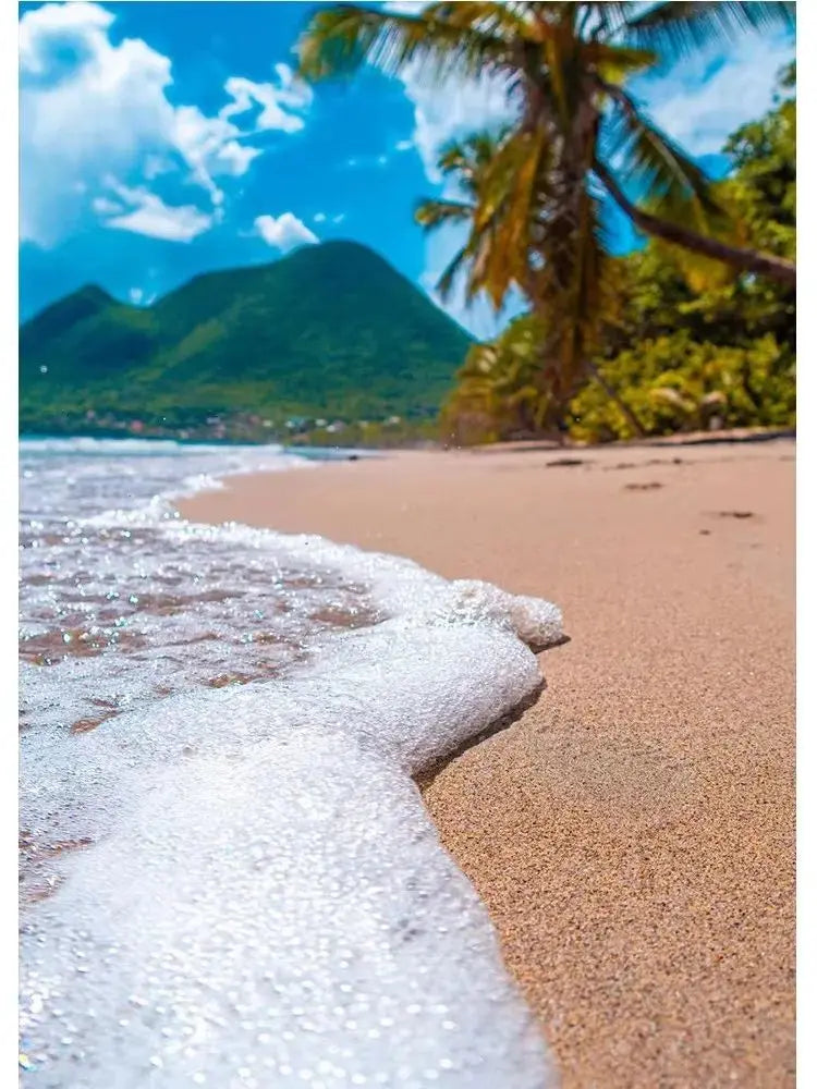 Martinique Beach Ocean Vintage Canvas Wall Art | Unframed Print