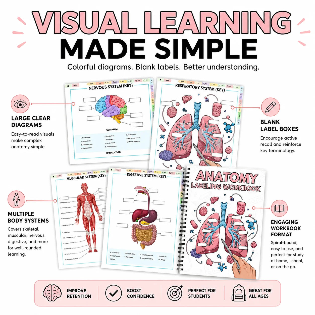 Anatomy Labeling Workbook A5 Spiral-bound Study Guide 90+ Pages 14