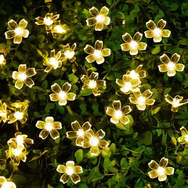 5M 20 LED Solar Cherry Flower String Lights | 8 Modes IP65