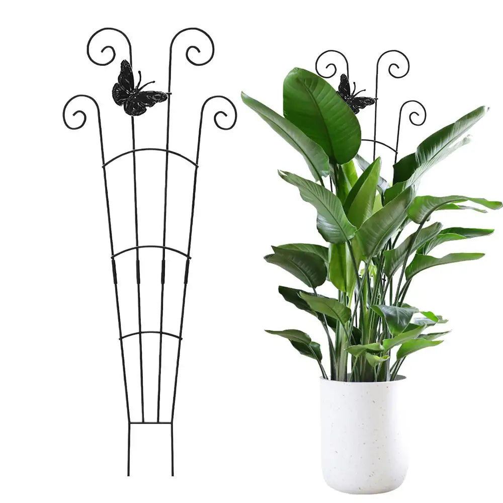 Metal Plant Support Stakes | Trellis for Tomato, Orchid & Vines