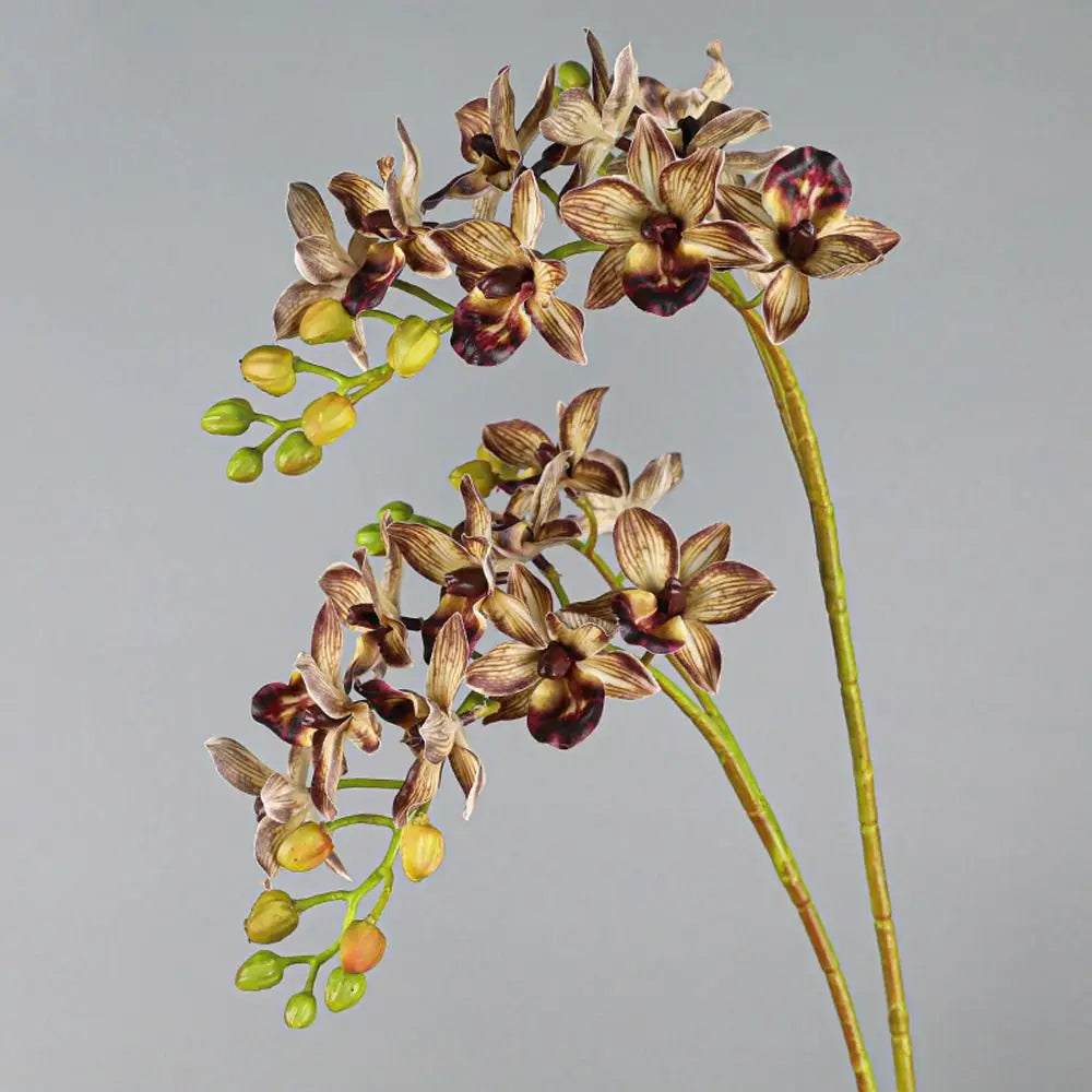 Artificial Phalaenopsis Orchid Branch | 2 Fork Real Touch 60cm