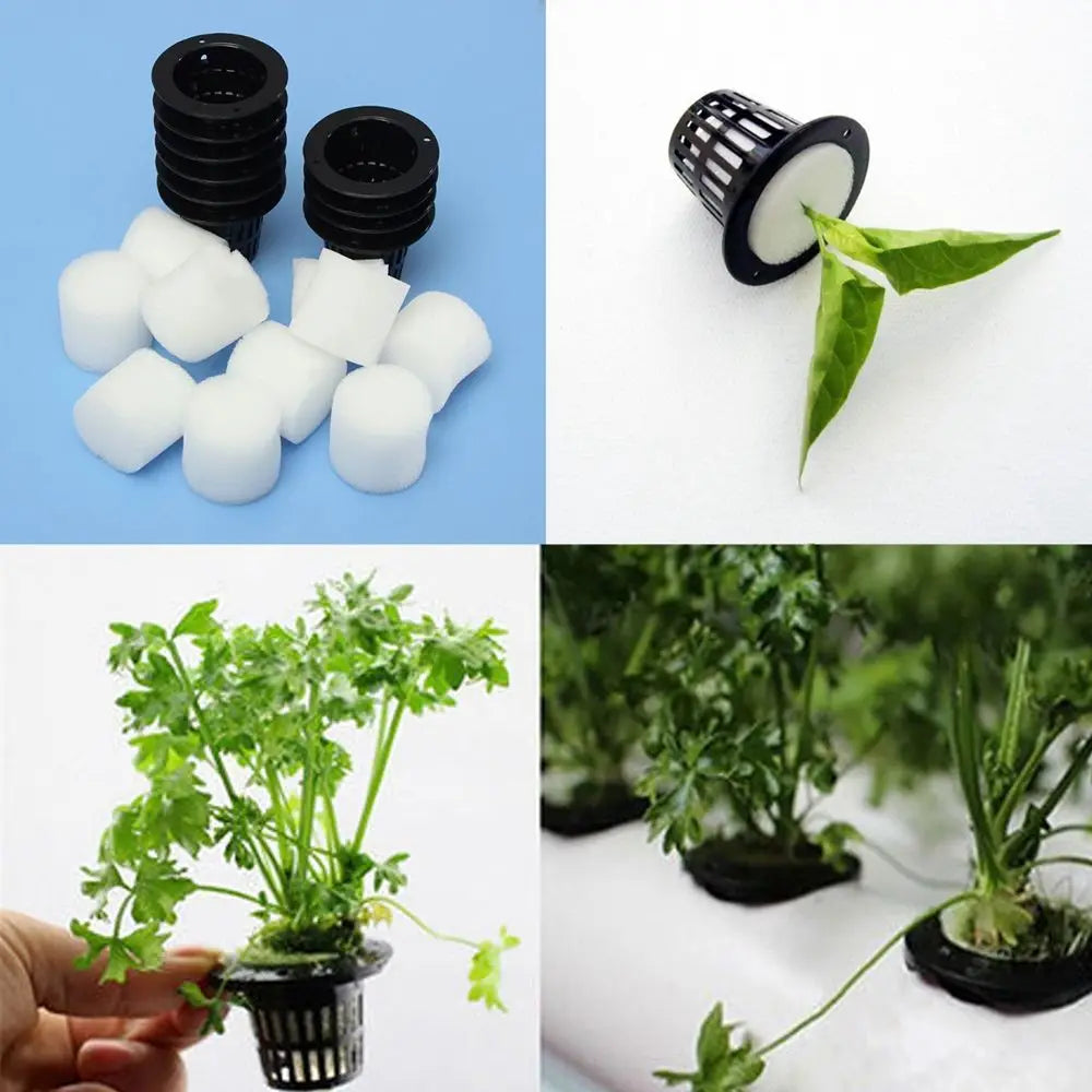 10-Pack Hydroponic Net Cups with Foam | Mesh Basket Pots