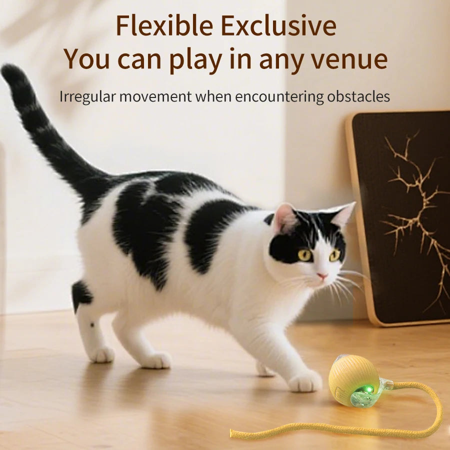 Smart Cat Toys Automatic Rolling Ball Fake Tail Rechargeable Electric Pet Interactive Toy Dog Cat Training Imitate Mouse Tail Peaceful Pleasures Health and Wellness