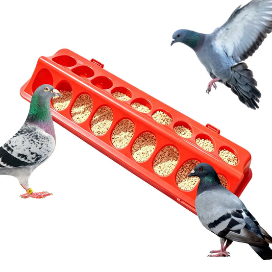 Porous Chicken Feeder & Waterer Trough for Chicks & Quail Poultry Feeder Trough Peaceful Pleasures Health and Wellness