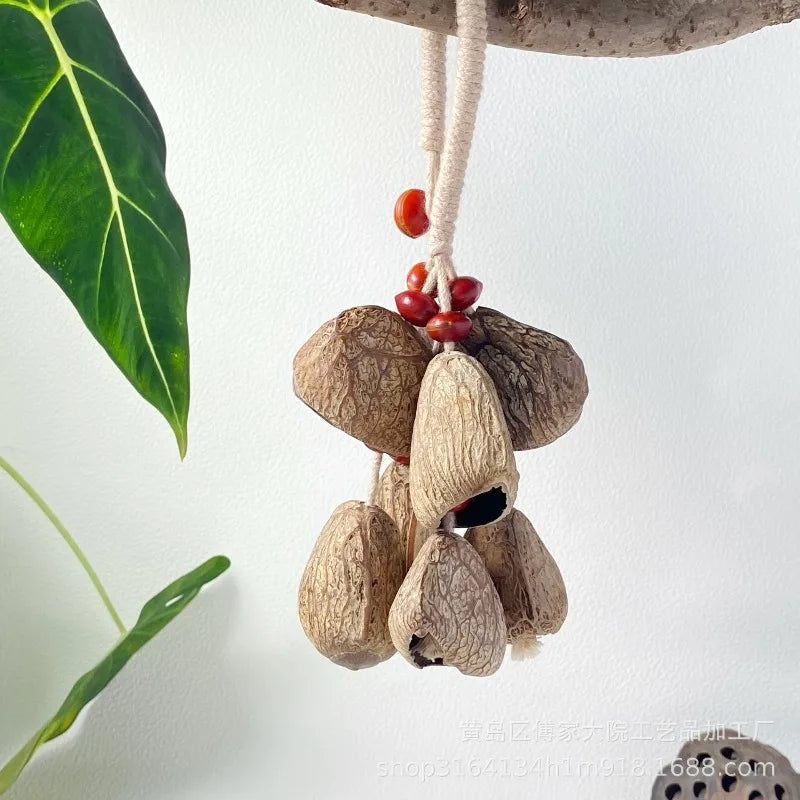 Nutshell Hand Rattle Imported Real Wind Bell String Backing Track