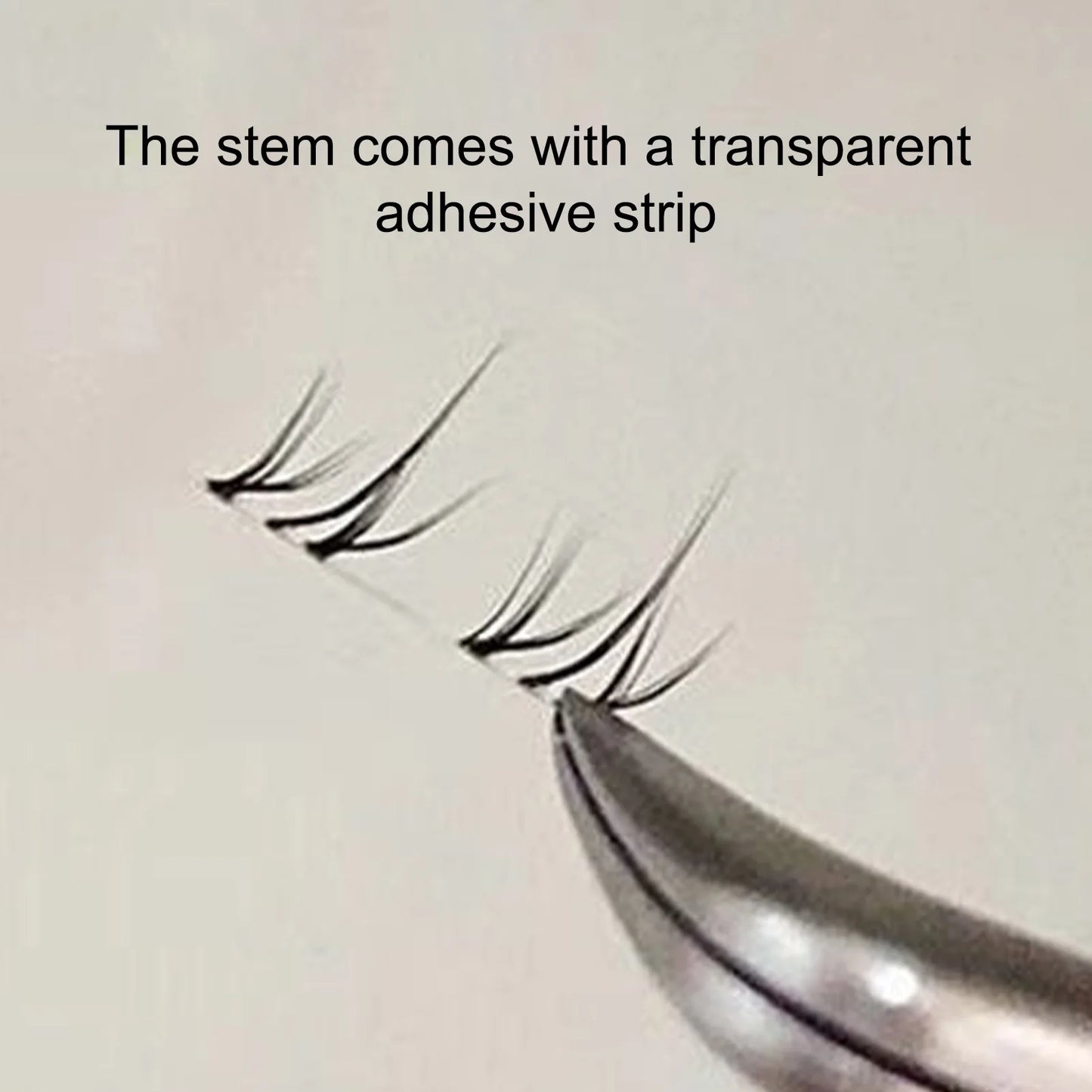 Cat Paw Lower Cluster Lash Extensions – Transparent Band