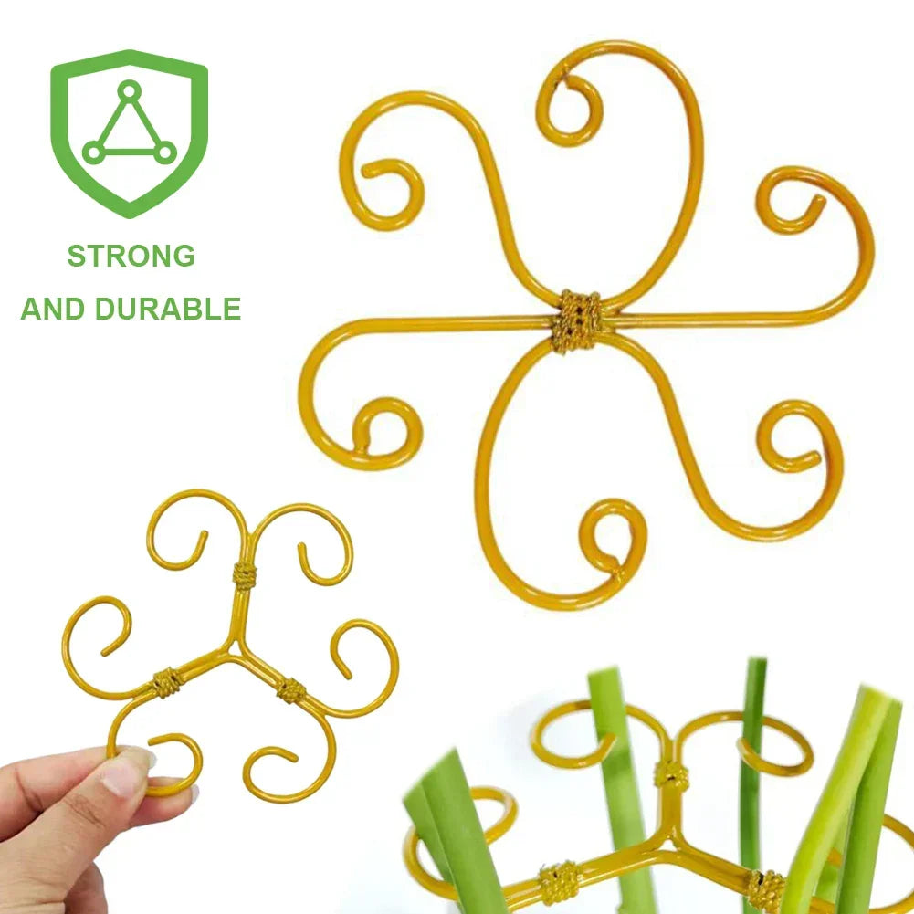 5Pcs Plant Stem Support & Stabilizer for Indoor Plants Peaceful Pleasures Health and Wellness