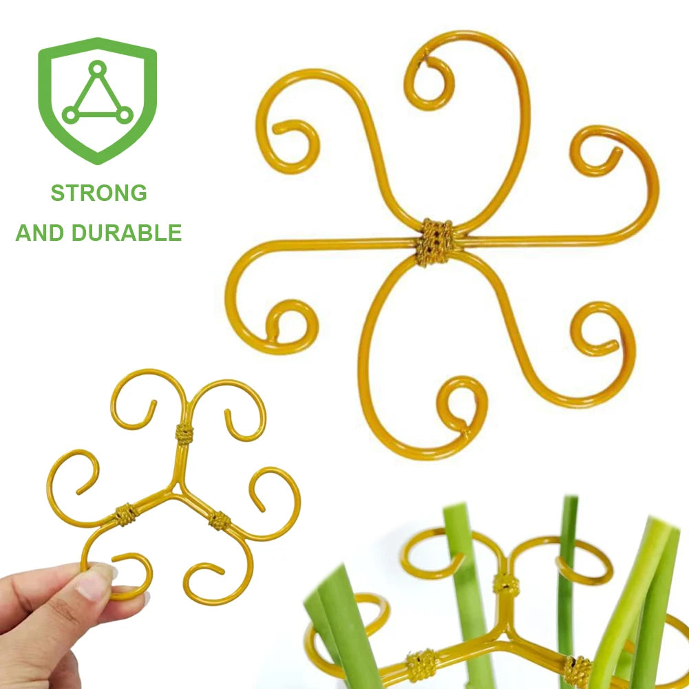 5Pcs Plant Stem Support Reusable Monstera Stem Holder & Stabilizer Peaceful Pleasures Health and Wellness