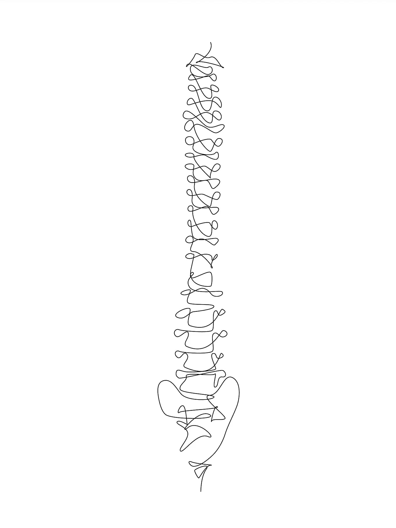 Human Anatomy Skeleton Canvas Wall Art | Medical Line Art Poster
