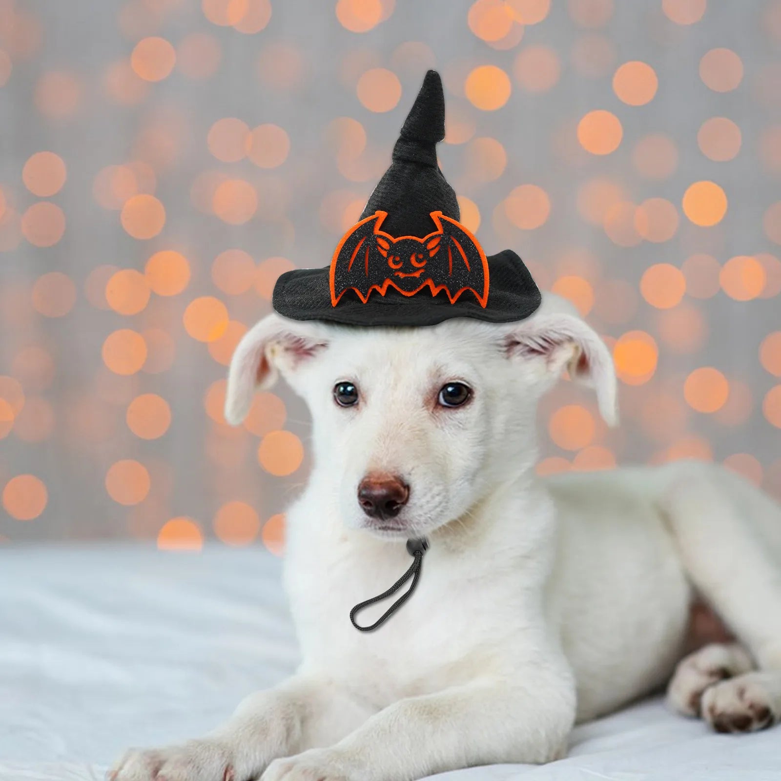 Halloween Spider Web Witch Hat Elastic Hair Band Pet Supplies Dog Cat Pumpkin Bat Hat Hair Accessories Happy Helloween Party Peaceful Pleasures Health and Wellness