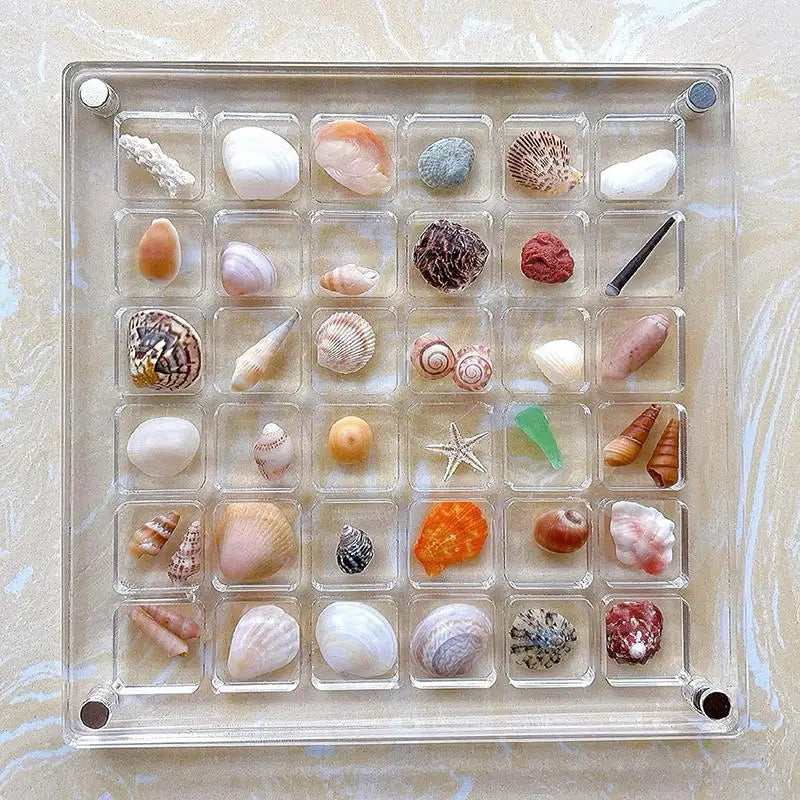 Small Shell Storage Box Mini Conch Micro Shell Specimen Collection High Transparency Box Acrylic Storage Box Peaceful Pleasures Health and Wellness