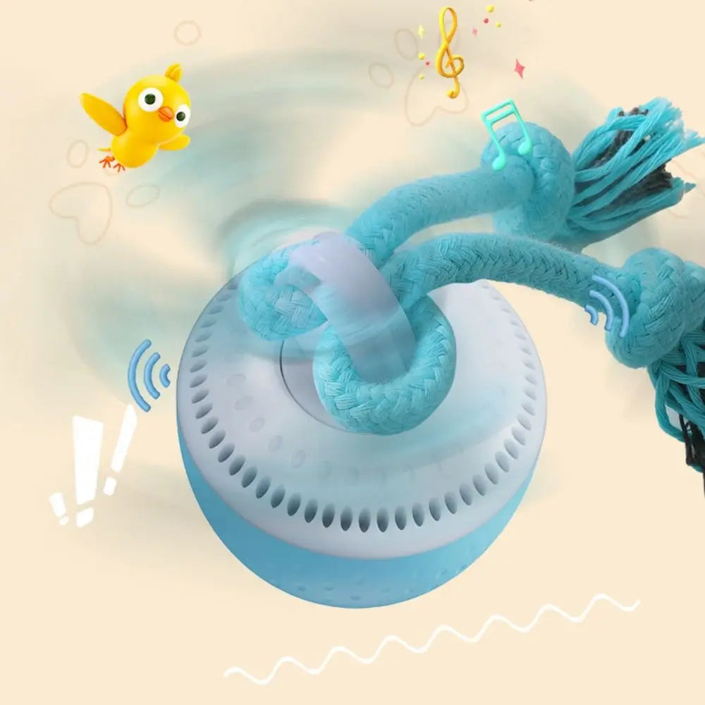 Smart Auto-Rolling Dog Toy Ball | USB Rechargeable, 3 Modes