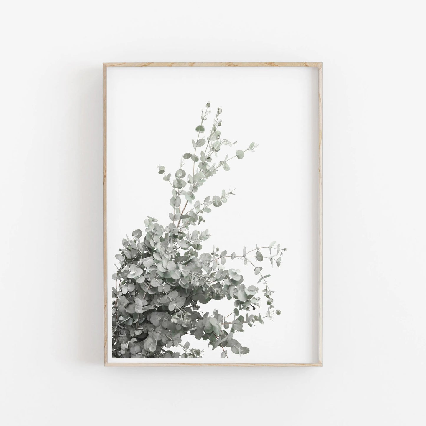Nordic Botanical Canvas Wall Art – Eucalyptus & Palm Leaves