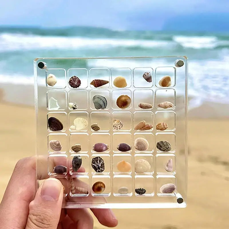 Small Shell Storage Box Mini Conch Micro Shell Specimen Collection High Transparency Box Acrylic Storage Box Peaceful Pleasures Health and Wellness