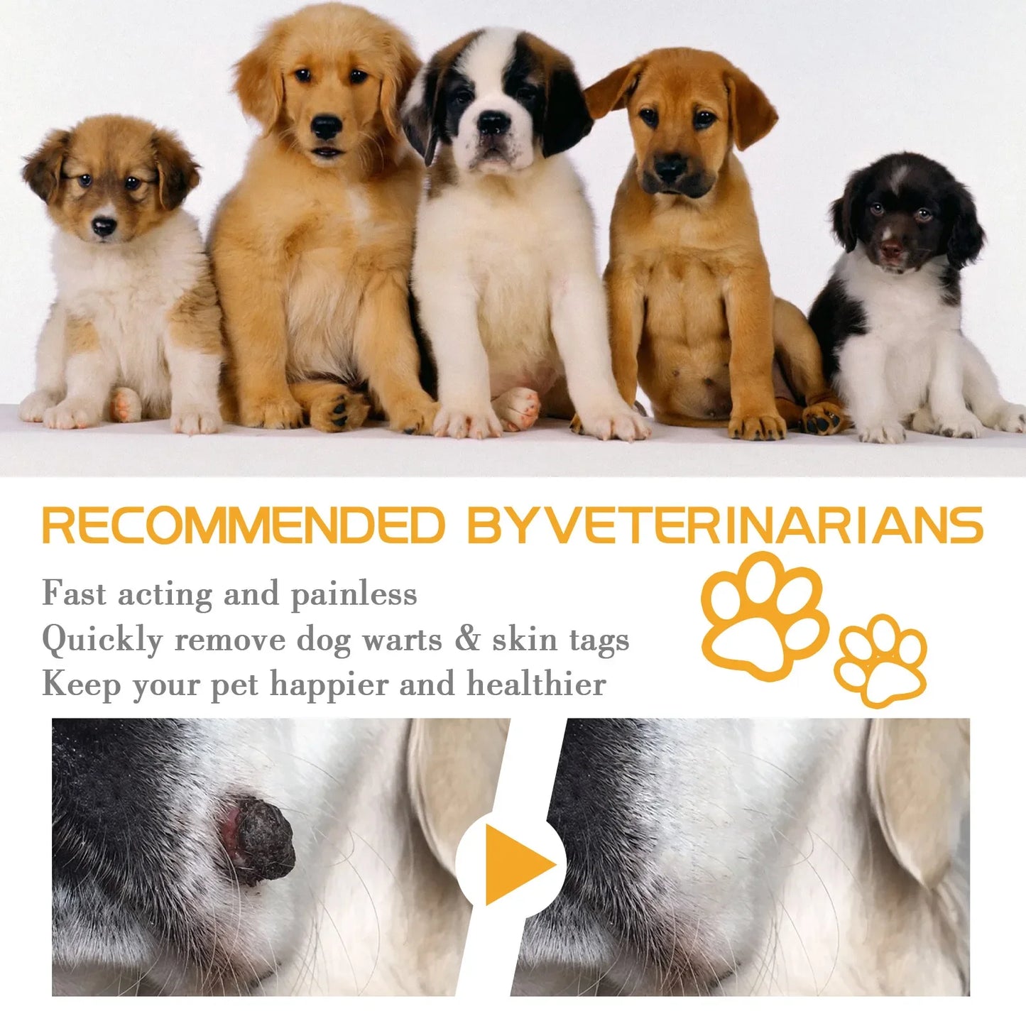 YEGBONG Pet Wart & Mole Removal Cream – 20g Skin Repair