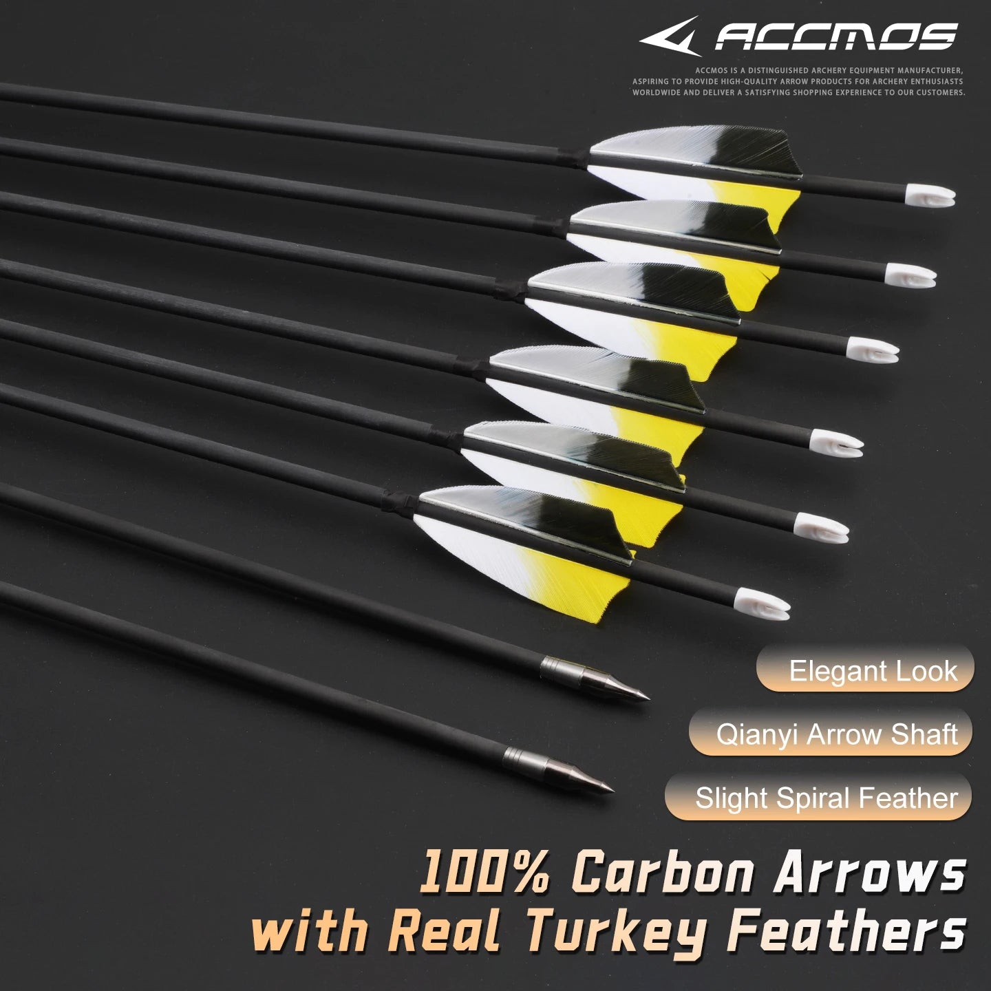 6 Pure Carbon Arrows Spine 300-800 Recurve Bow Hunting 33 Cut-to-size