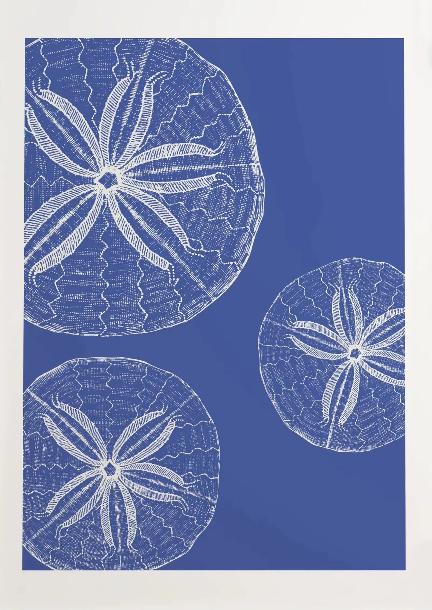 Blue Coastal Sketch Canvas Wall Art – Starfish Jellyfish Print