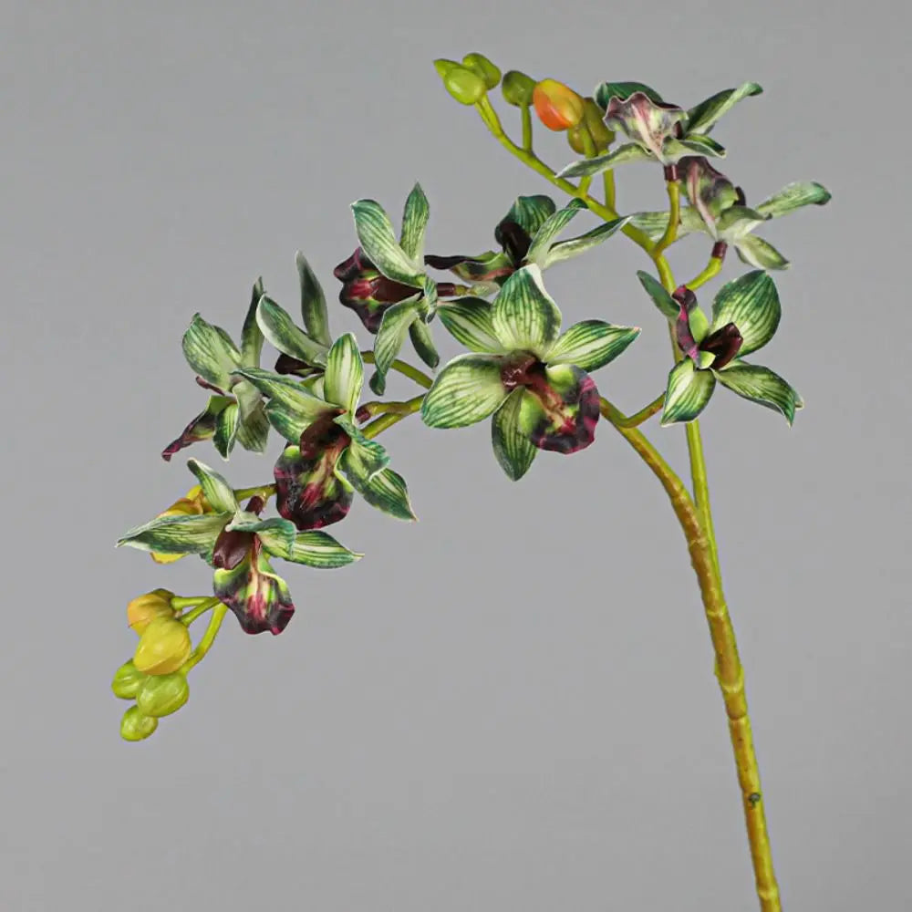 Artificial Phalaenopsis Orchid Branch | 2 Fork Real Touch 60cm