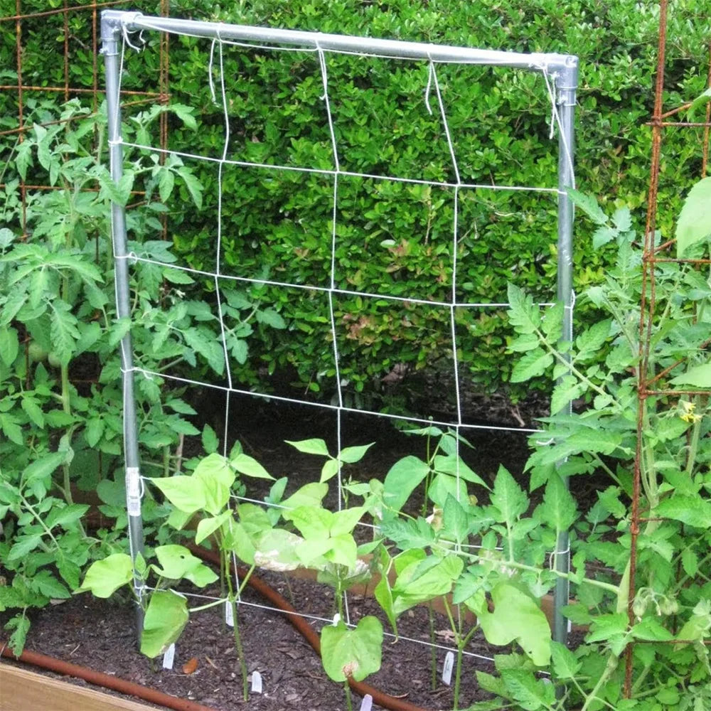 Garden Plant Trellis Netting – Square Mesh for Climbing Plants Plant Trellis Netting Peaceful Pleasures Health and Wellness