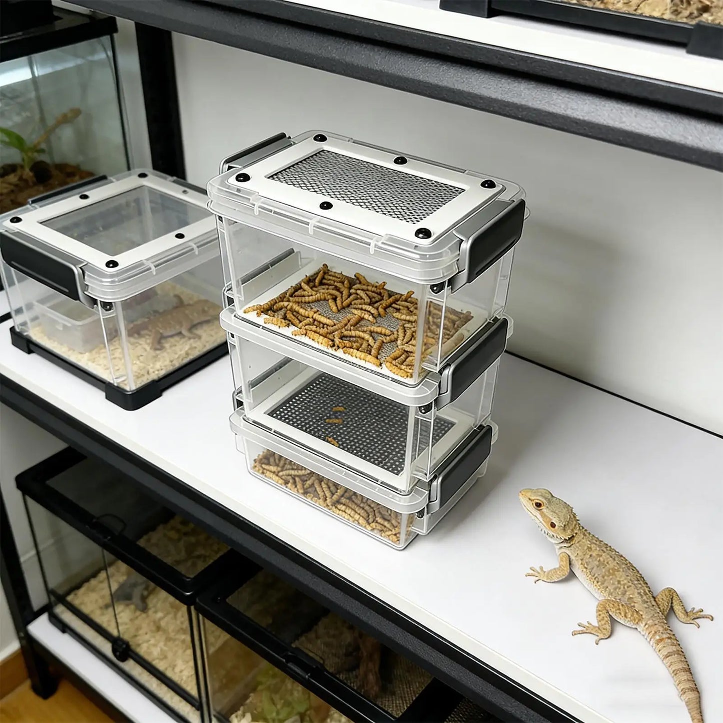 3-Layer Mealworm Breeding Kit Silkworm Feeder Bin Corn Worm Breeder Box for Pet Parents Animal Lovers Keepers Breeders Hobbyists Peaceful Pleasures Health and Wellness