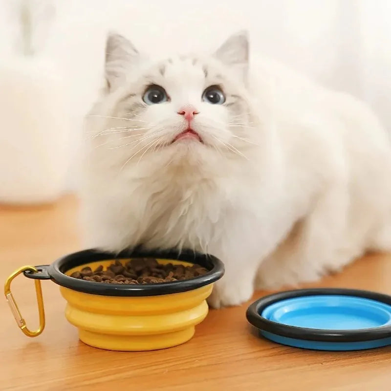 Foldable Silicone Pet Travel Bowl with Carabiner – Dogs & Cats