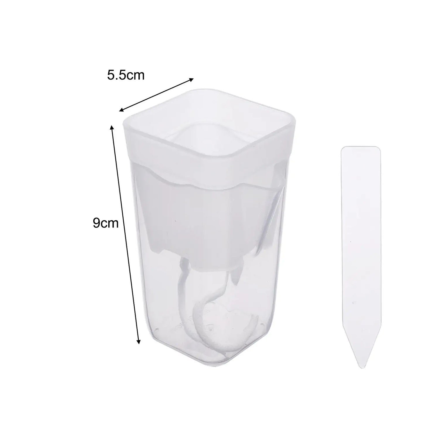 Transparent Self-Watering Plant Pot | Seedling Propagation Planter