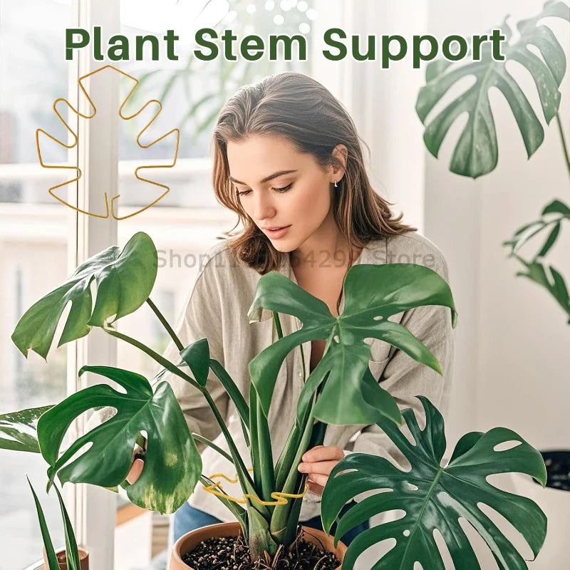 Large Monstera Plant Support Frame – Stem Climbing Stabilizer