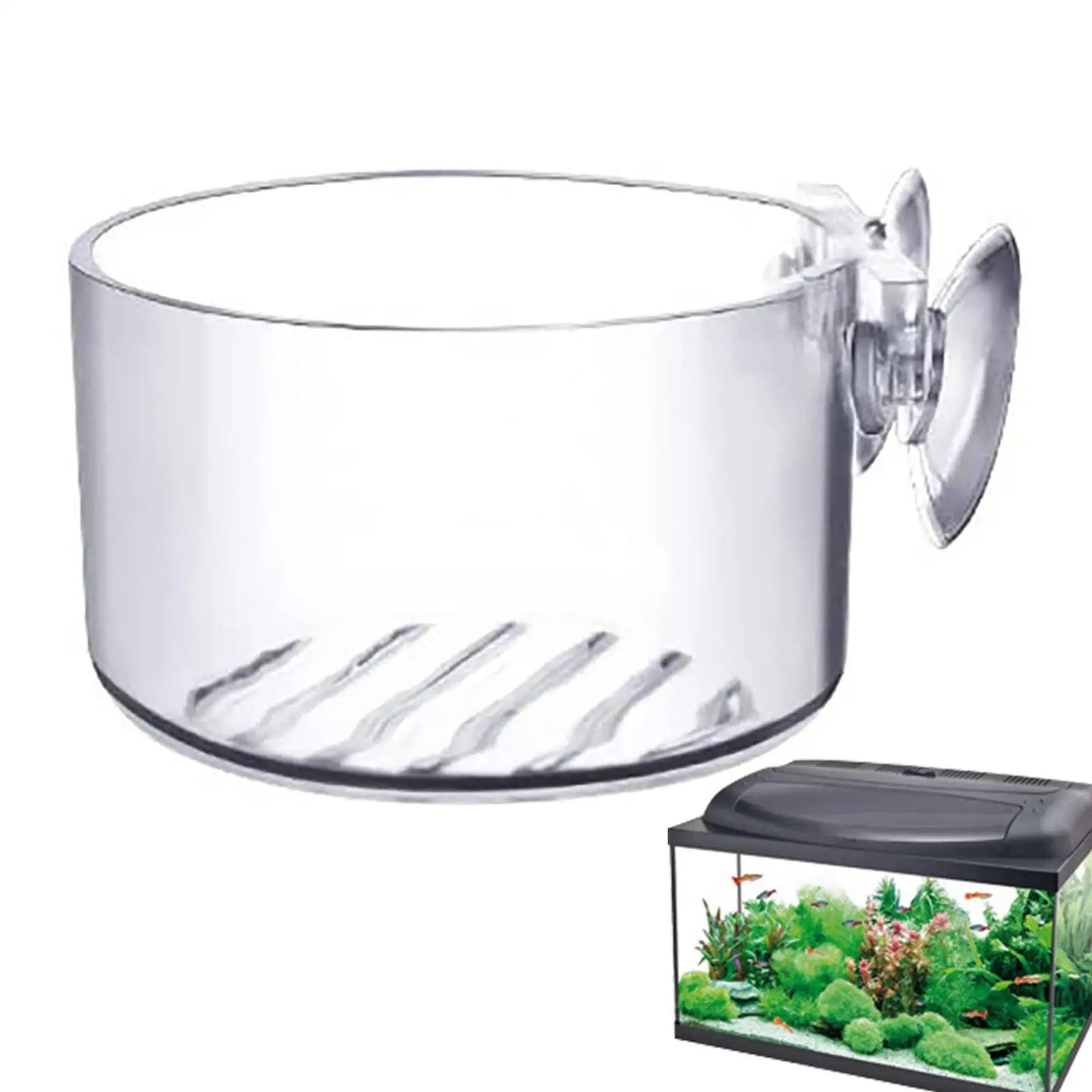 Acrylic Aquarium Plant Cup with Suction Cup Holder | Fish Tank