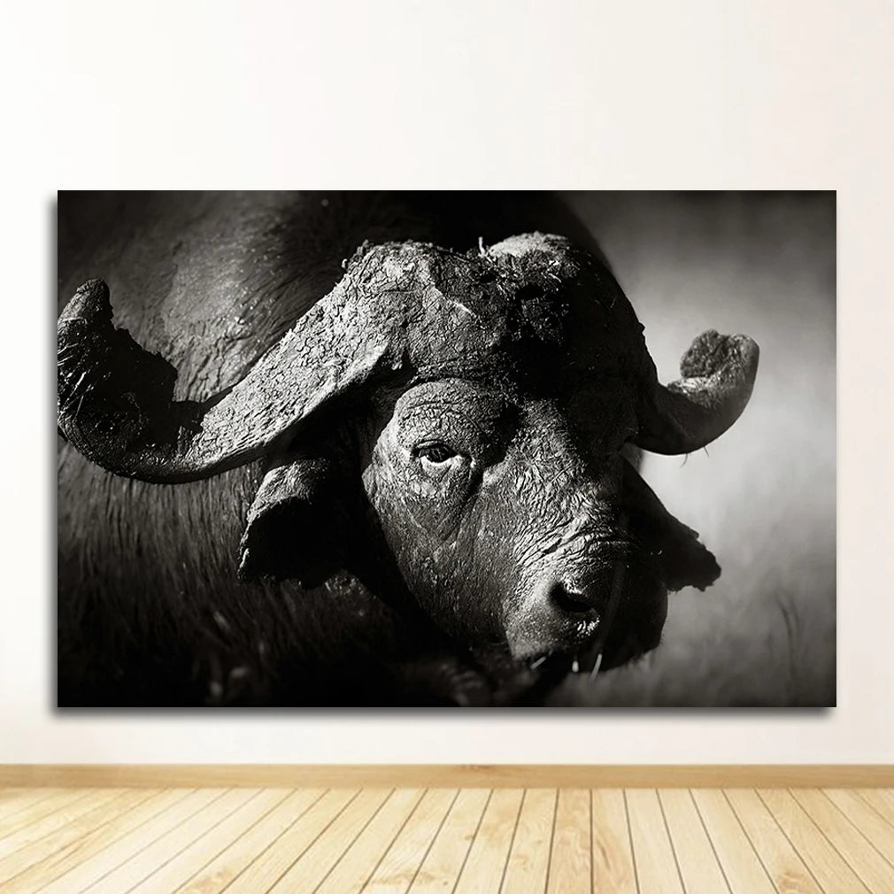 Black & White Animal Canvas Wall Art | Zebra Lion Leopard