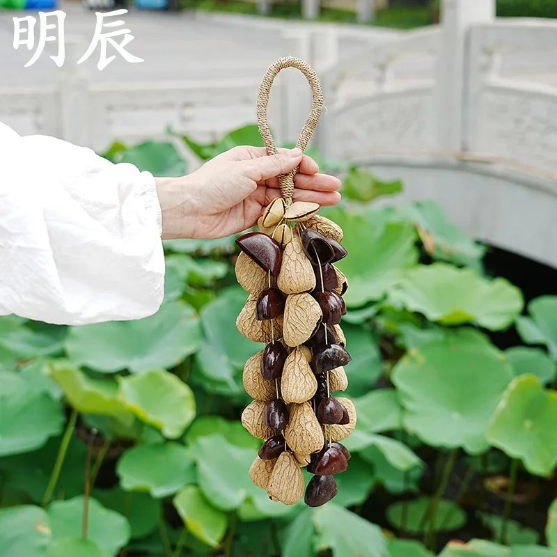 Hand Ringing Three Fruit Mix 5 12 Shell Handmade Indonesian Imported