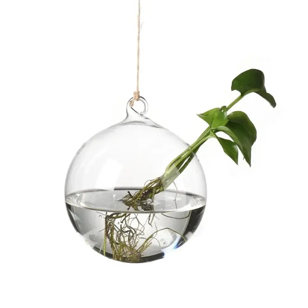 Hanging Glass Terrarium Vase | Hydroponic Plant Pot Decor