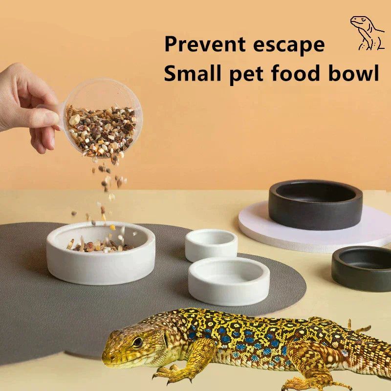 Ceramic Reptile Feeder Bowl – Anti-Escape Dish for Geckos & More Reptile Feeder Bowl Peaceful Pleasures Health and Wellness