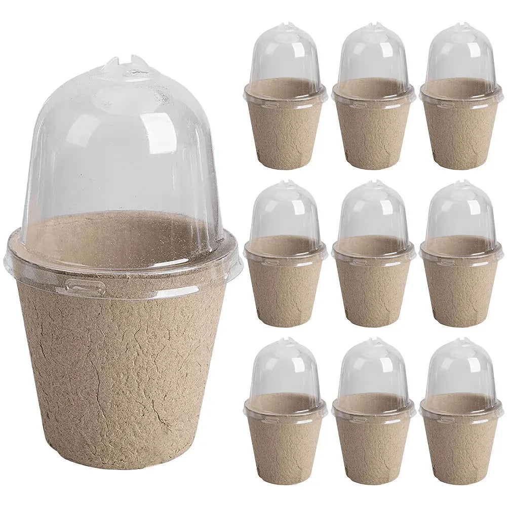 10Pcs Seedling Cup Seedling Pot Transparent Lid Greenhouse Breeding Box Biodegradable Plant Growing Cup Versatile for Gardening Peaceful Pleasures Health and Wellness 8cm No Holes