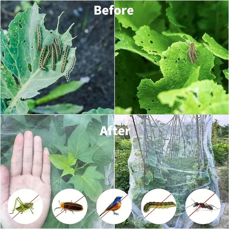 Garden Netting Plant Cover – UV-Resistant Pest & Bird Barrier