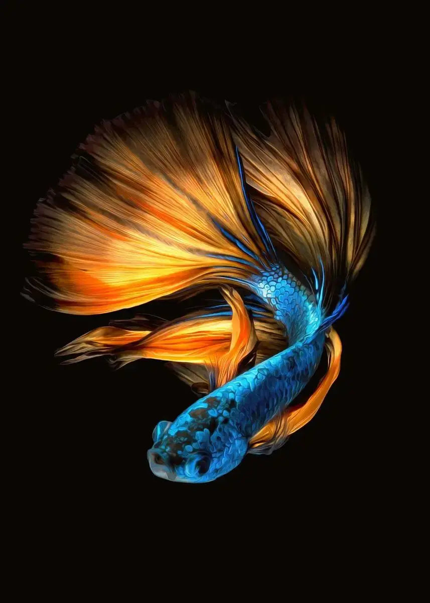 Tropical Fish Canvas Wall Art | Betta Goldfish Rainbow Fish Print
