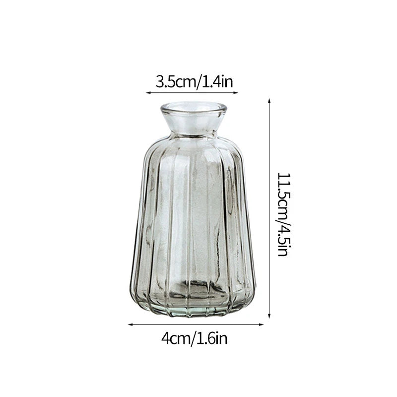 Vintage Transparent Glass Vase | Flower Bottle & Plant Pot