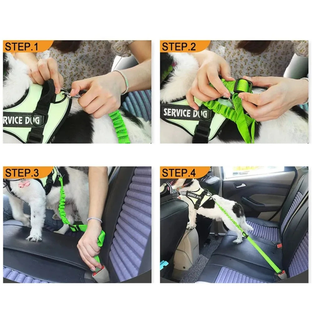 Reflective Dog Seat Belt – Adjustable Nylon Bungee Car Harness