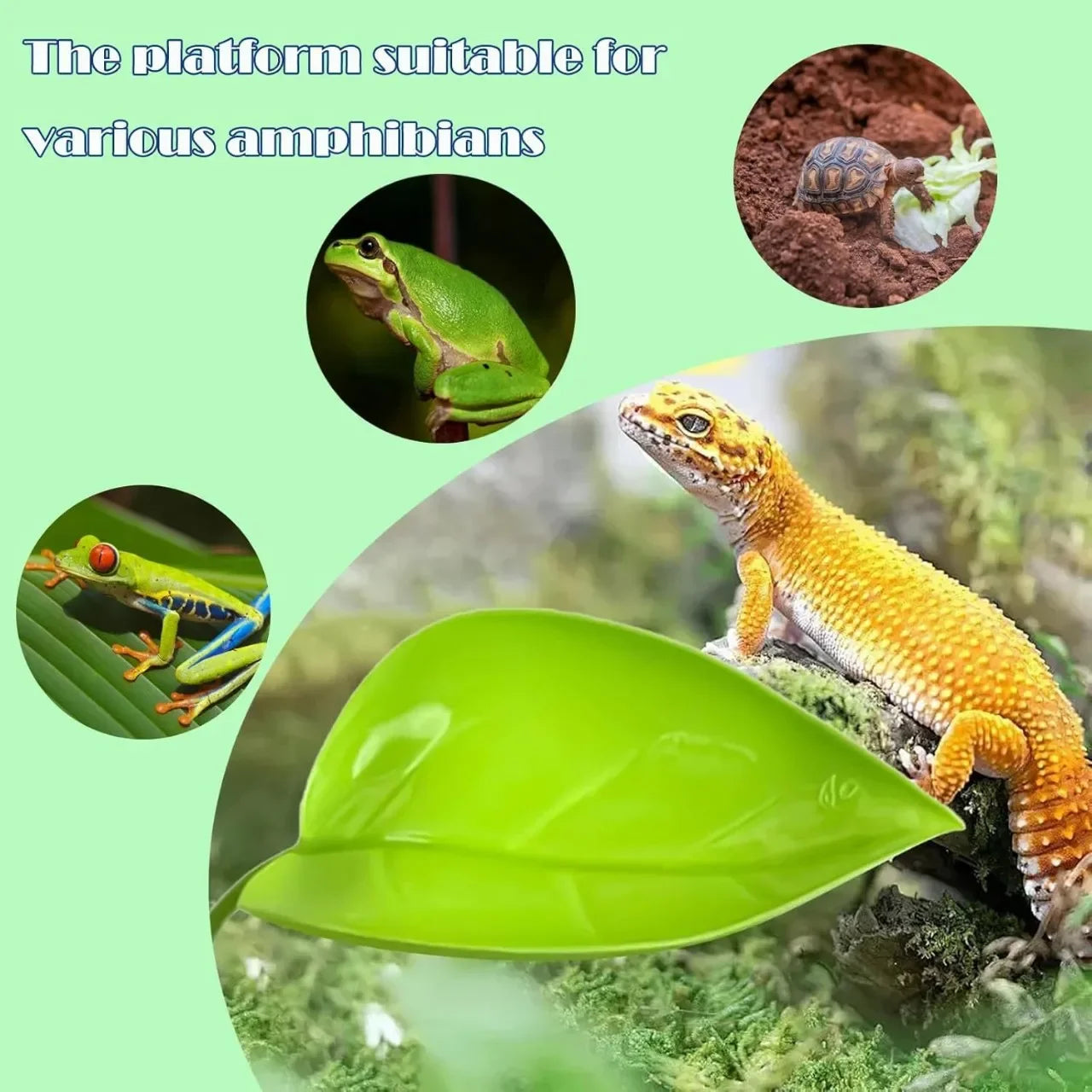 Reptile Basking Leaf Platform | Suction Cup Terrarium Decor
