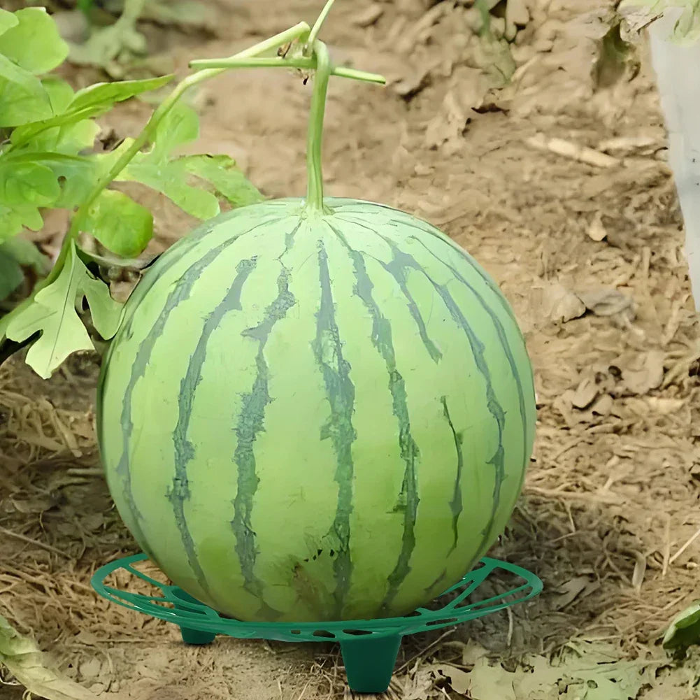Watermelon & Melon Cradle Nursery Tray – 10-Pack (Blue or Green) Peaceful Pleasures Health and Wellness