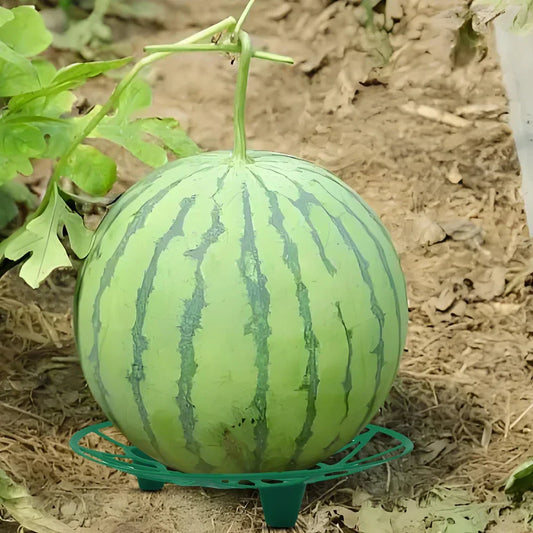 Watermelon & Melon Cradle Nursery Tray – 10-Pack (Blue or Green) Peaceful Pleasures Health and Wellness