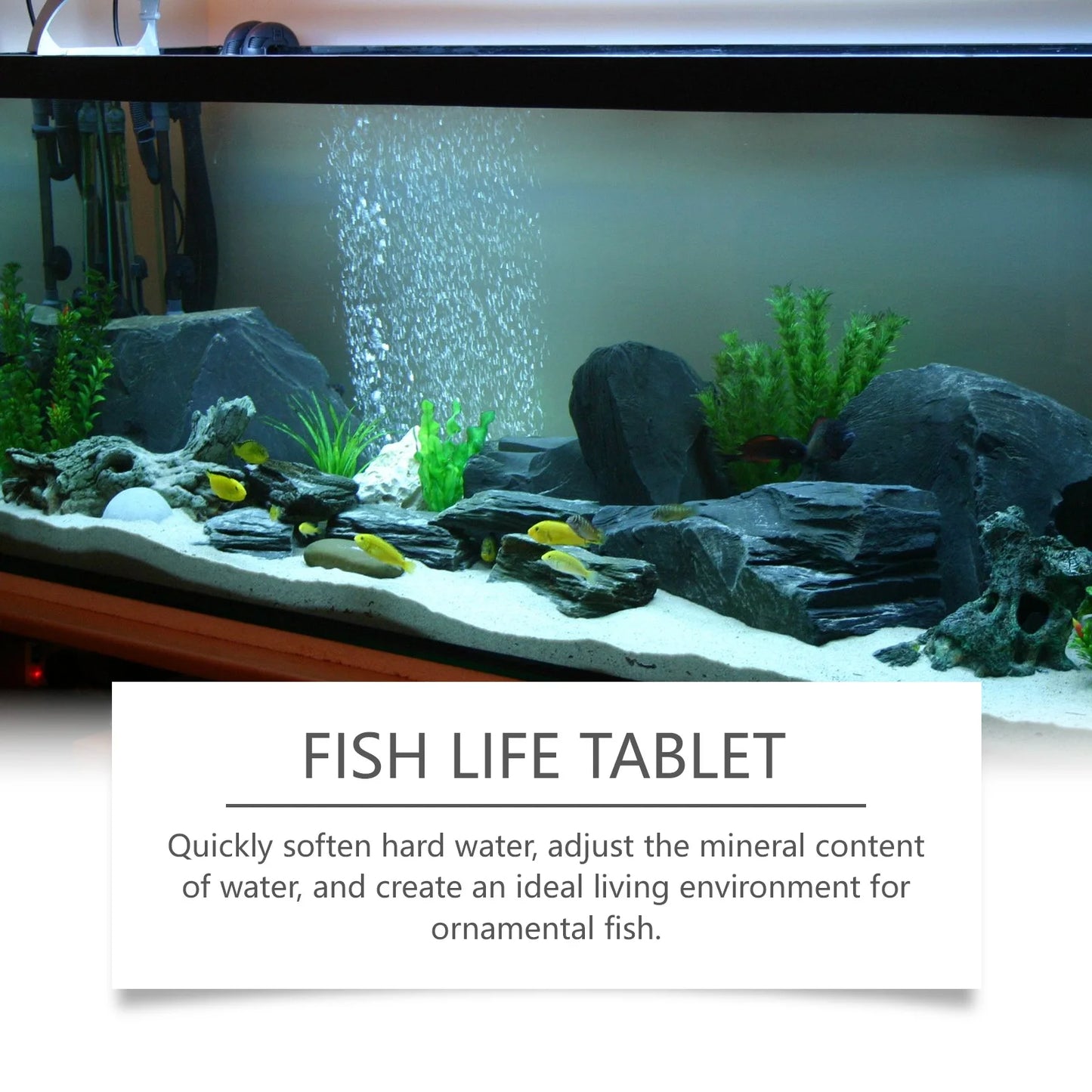 Aquarium Salt Slices 100g | Fish Tank Water Conditioner