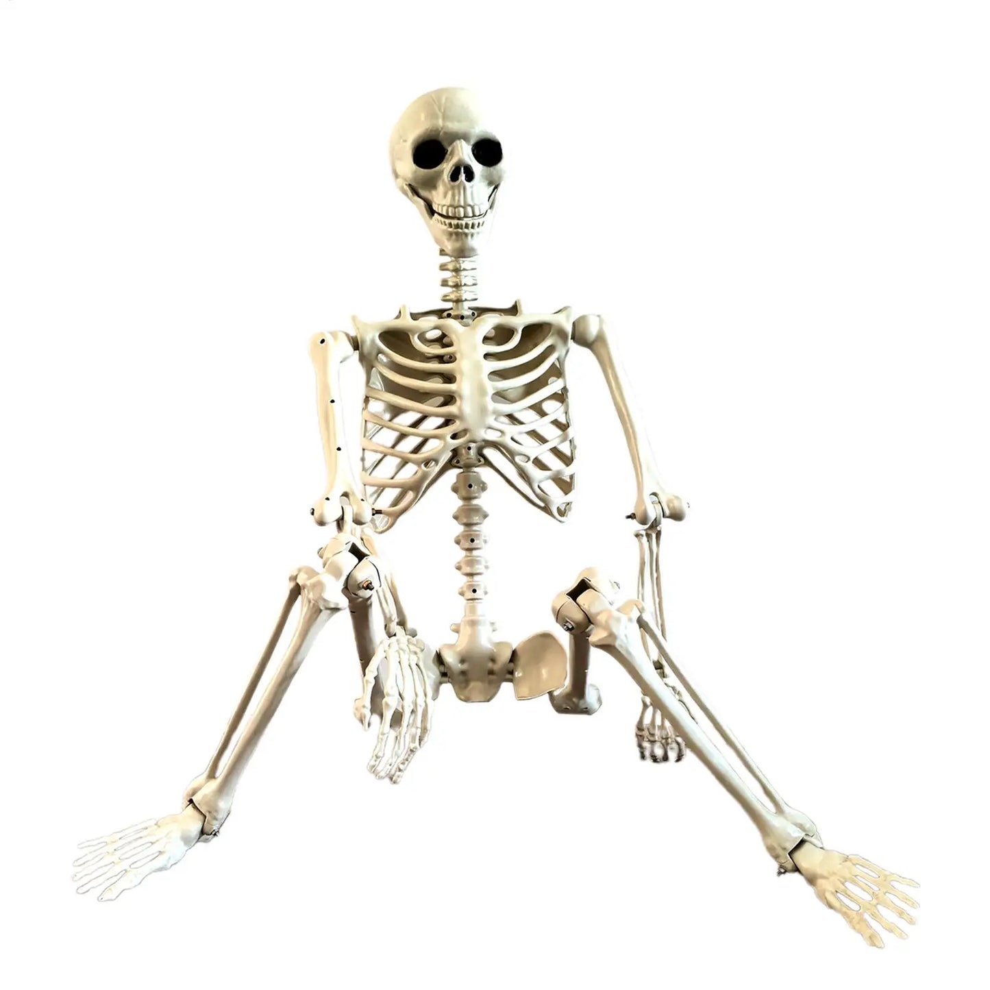 90cm Posable Halloween Skeleton Prop | Haunted House Decor
