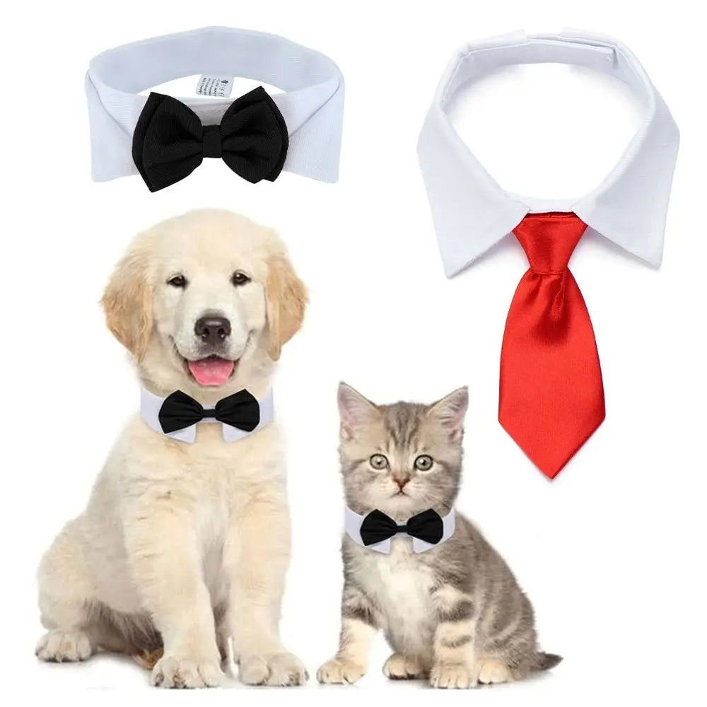 Adjustable Pet Bow Tie Collar for Small Dogs & Cats