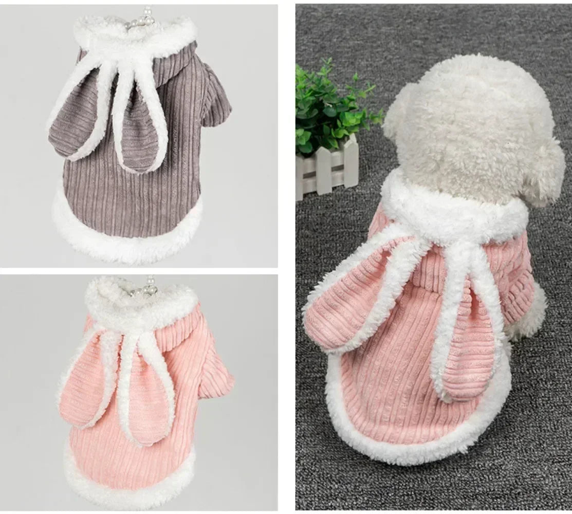 Winter Rabbit Ear Teddy Bear Dog Cat Clothes Warm Comfortable Elastic Cute Pet Coat Clothing for Small Dogs Peaceful Pleasures Health and Wellness