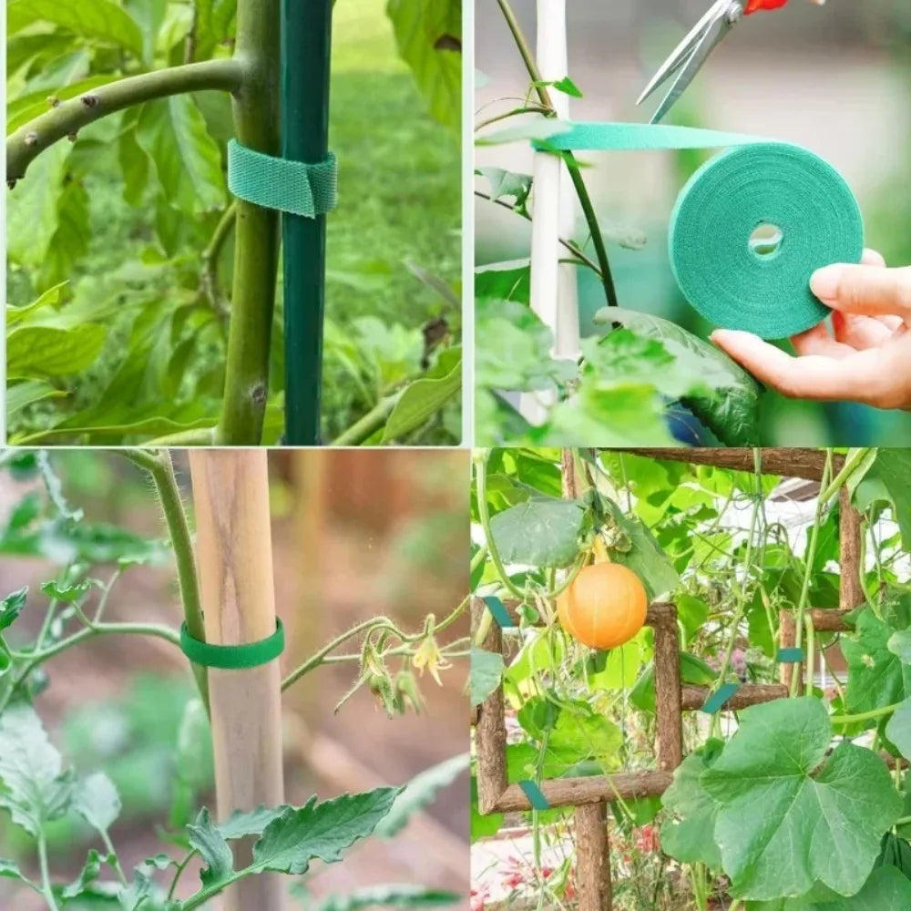 Nylon Plant Stretch Width 12mm Vine Fixing Strap Adjustable Green Fastener Tape Bamboo Rattan Wrap Support Garden Accessories Peaceful Pleasures Health and Wellness