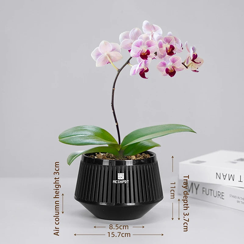 Meshpot Orchid Pots with Holes | Plastic Planter Indoor Outdoor