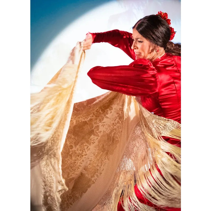 Flamenco Dancer Canvas Wall Art | Red Dress Spanish Gitana