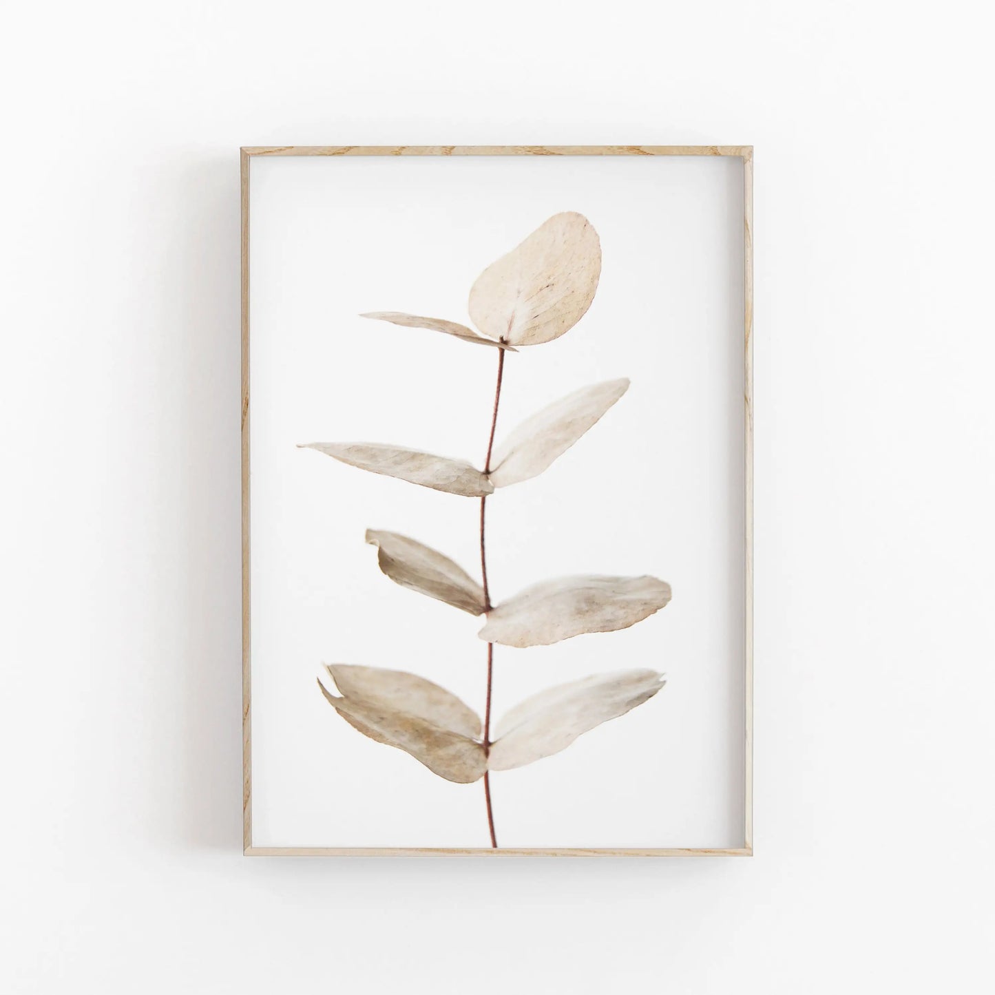 Nordic Botanical Canvas Wall Art – Eucalyptus & Palm Leaves